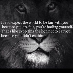 Meet your Posher, Hilda